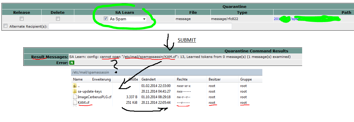 SA Learn as SPAM