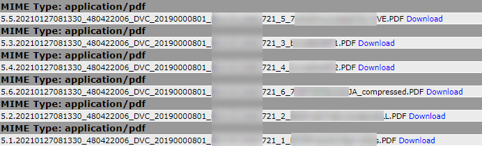2021-01-28_17-29-32.png